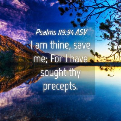 Picture 04 - Psalms 119:94 ASV - I am thine, save me; For I have sought thy - Bible Verse Picture