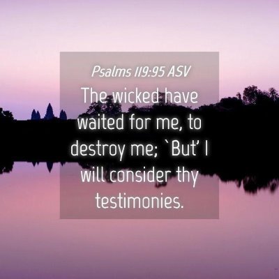 Picture 04 - Psalms 119:95 ASV - The wicked have waited for me, to destroy me; - Bible Verse Picture