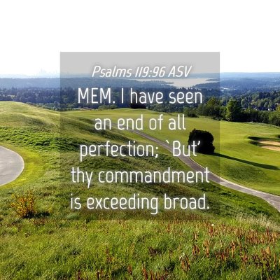 Picture 04 - Psalms 119:96 ASV - MEM. I have seen an end of all perfection; `But' - Bible Verse Picture
