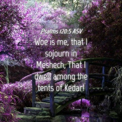 Picture 04 - Psalms 120:5 ASV - Woe is me, that I sojourn in Meshech, That I - Bible Verse Picture