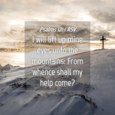 Picture 04 - Psalms 121:1 ASV - I will lift up mine eyes unto the mountains: From - Bible Verse Picture