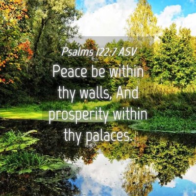 Picture 04 - Psalms 122:7 ASV - Peace be within thy walls, And prosperity within - Bible Verse Picture