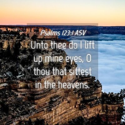 Picture 04 - Psalms 123:1 ASV - Unto thee do I lift up mine eyes, O thou that - Bible Verse Picture