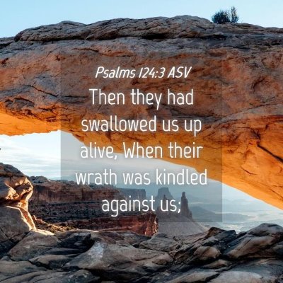 Picture 04 - Psalms 124:3 ASV - Then they had swallowed us up alive, When their - Bible Verse Picture
