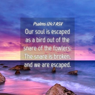 Picture 04 - Psalms 124:7 ASV - Our soul is escaped as a bird out of the snare of - Bible Verse Picture