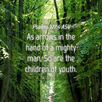 Picture 04 - Psalms 127:4 ASV - As arrows in the hand of a mighty man, So are the - Bible Verse Picture