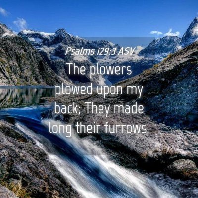 Picture 04 - Psalms 129:3 ASV - The plowers plowed upon my back; They made long - Bible Verse Picture