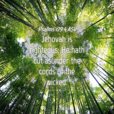 Picture 04 - Psalms 129:4 ASV - Jehovah is righteous: He hath cut asunder the - Bible Verse Picture