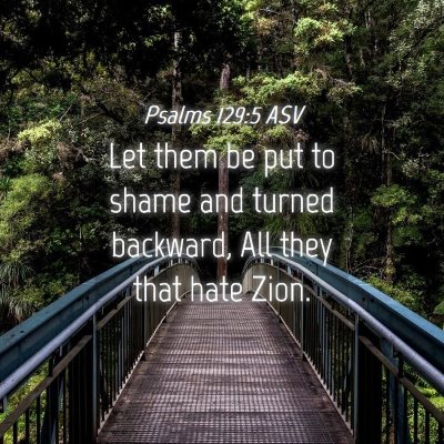 Picture 04 - Psalms 129:5 ASV - Let them be put to shame and turned backward, All - Bible Verse Picture