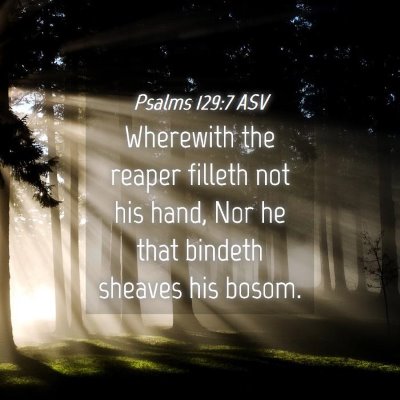 Picture 04 - Psalms 129:7 ASV - Wherewith the reaper filleth not his hand, Nor he - Bible Verse Picture