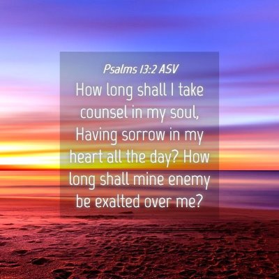 Picture 04 - Psalms 13:2 ASV - How long shall I take counsel in my soul, Having - Bible Verse Picture
