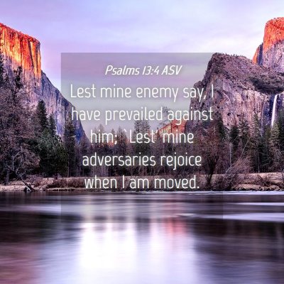 Picture 04 - Psalms 13:4 ASV - Lest mine enemy say, I have prevailed against - Bible Verse Picture