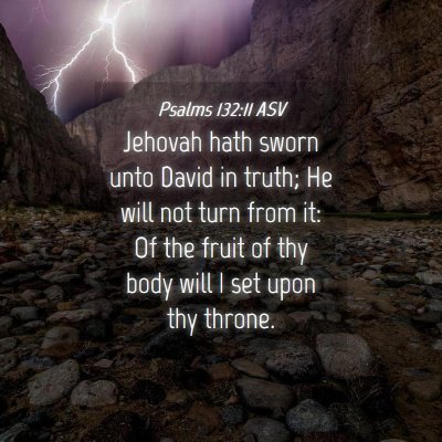 Picture 04 - Psalms 132:11 ASV - Jehovah hath sworn unto David in truth; He will - Bible Verse Picture