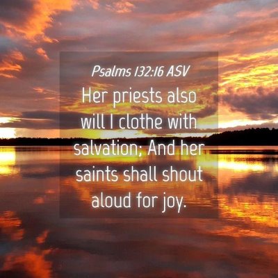 Picture 04 - Psalms 132:16 ASV - Her priests also will I clothe with salvation; - Bible Verse Picture