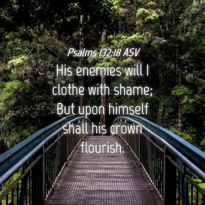 Picture 04 - Psalms 132:18 ASV - His enemies will I clothe with shame; But upon - Bible Verse Picture