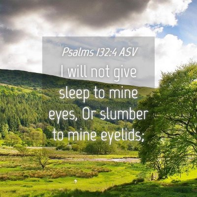 Picture 04 - Psalms 132:4 ASV - I will not give sleep to mine eyes, Or slumber to - Bible Verse Picture