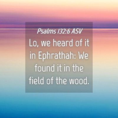 Picture 04 - Psalms 132:6 ASV - Lo, we heard of it in Ephrathah: We found it in - Bible Verse Picture