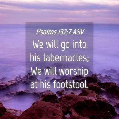 Picture 04 - Psalms 132:7 ASV - We will go into his tabernacles; We will worship - Bible Verse Picture
