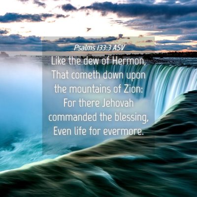 Picture 04 - Psalms 133:3 ASV - Like the dew of Hermon, That cometh down upon the - Bible Verse Picture