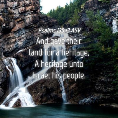 Picture 04 - Psalms 135:12 ASV - And gave their land for a heritage, A heritage - Bible Verse Picture