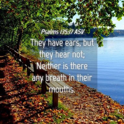 Picture 04 - Psalms 135:17 ASV - They have ears, but they hear not; Neither is - Bible Verse Picture