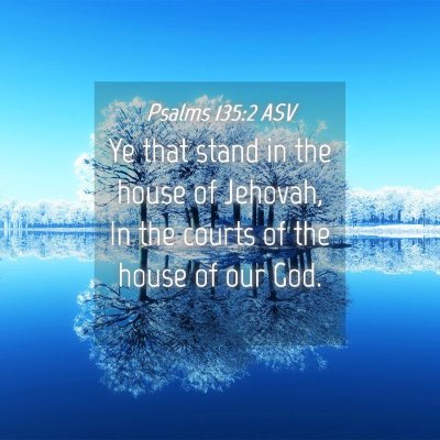 Picture 04 - Psalms 135:2 ASV - Ye that stand in the house of Jehovah, In the - Bible Verse Picture
