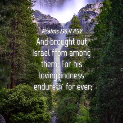 Picture 04 - Psalms 136:11 ASV - And brought out Israel from among them; For his - Bible Verse Picture