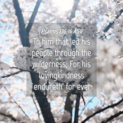 Picture 04 - Psalms 136:16 ASV - To him that led his people through the - Bible Verse Picture