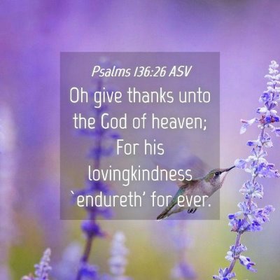 Picture 04 - Psalms 136:26 ASV - Oh give thanks unto the God of heaven; For his - Bible Verse Picture