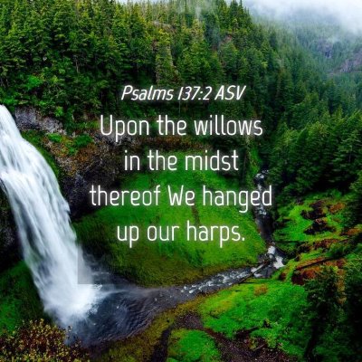 Picture 04 - Psalms 137:2 ASV - Upon the willows in the midst thereof We hanged - Bible Verse Picture