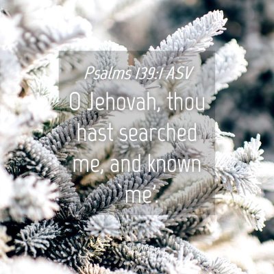 Picture 04 - Psalms 139:1 ASV - O Jehovah, thou hast searched me, and known - Bible Verse Picture