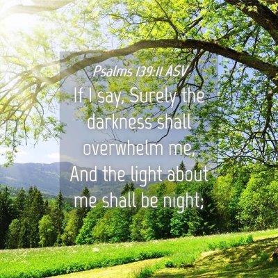 Picture 04 - Psalms 139:11 ASV - If I say, Surely the darkness shall overwhelm me, - Bible Verse Picture