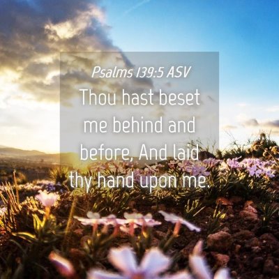 Picture 04 - Psalms 139:5 ASV - Thou hast beset me behind and before, And laid - Bible Verse Picture
