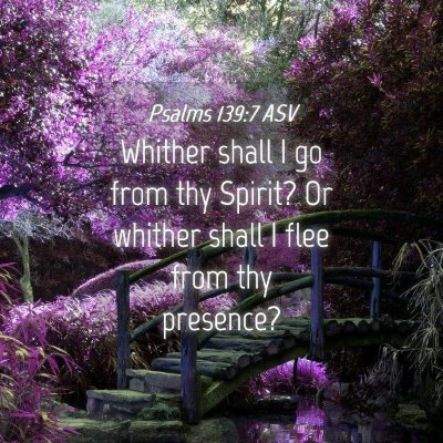 Picture 04 - Psalms 139:7 ASV - Whither shall I go from thy Spirit? Or whither - Bible Verse Picture