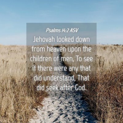 Picture 04 - Psalms 14:2 ASV - Jehovah looked down from heaven upon the children - Bible Verse Picture