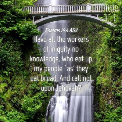 Picture 04 - Psalms 14:4 ASV - Have all the workers of iniquity no knowledge, - Bible Verse Picture