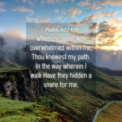 Picture 04 - Psalms 142:3 ASV - When my spirit was overwhelmed within me, Thou - Bible Verse Picture