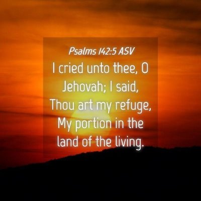 Picture 04 - Psalms 142:5 ASV - I cried unto thee, O Jehovah; I said, Thou art my - Bible Verse Picture