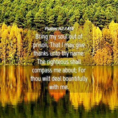 Picture 04 - Psalms 142:7 ASV - Bring my soul out of prison, That I may give - Bible Verse Picture