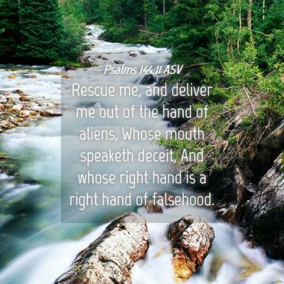 Picture 04 - Psalms 144:11 ASV - Rescue me, and deliver me out of the hand of - Bible Verse Picture