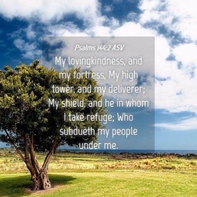 Picture 04 - Psalms 144:2 ASV - My lovingkindness, and my fortress, My high - Bible Verse Picture
