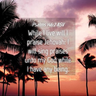 Picture 04 - Psalms 146:2 ASV - While I live will I praise Jehovah: I will sing - Bible Verse Picture