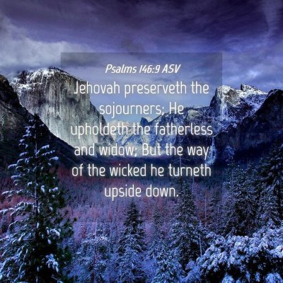 Picture 04 - Psalms 146:9 ASV - Jehovah preserveth the sojourners; He upholdeth - Bible Verse Picture