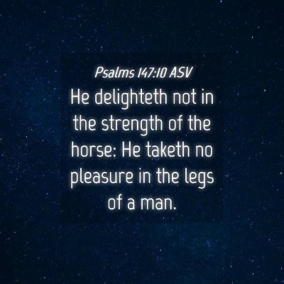 Picture 04 - Psalms 147:10 ASV - He delighteth not in the strength of the horse: - Bible Verse Picture
