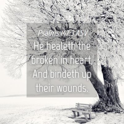 Picture 04 - Psalms 147:3 ASV - He healeth the broken in heart, And bindeth up - Bible Verse Picture