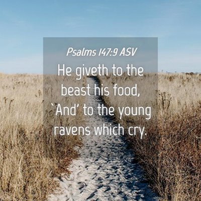 Picture 04 - Psalms 147:9 ASV - He giveth to the beast his food, `And' to the - Bible Verse Picture