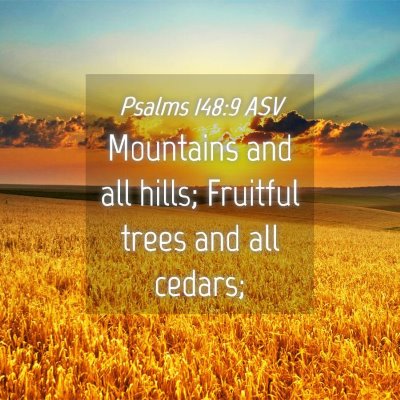 Picture 04 - Psalms 148:9 ASV - Mountains and all hills; Fruitful trees and all - Bible Verse Picture