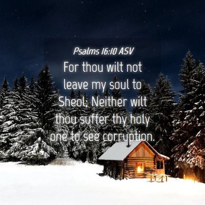 Picture 04 - Psalms 16:10 ASV - For thou wilt not leave my soul to Sheol; Neither - Bible Verse Picture