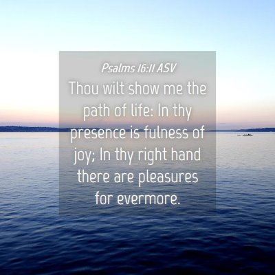 Picture 04 - Psalms 16:11 ASV - Thou wilt show me the path of life: In thy - Bible Verse Picture
