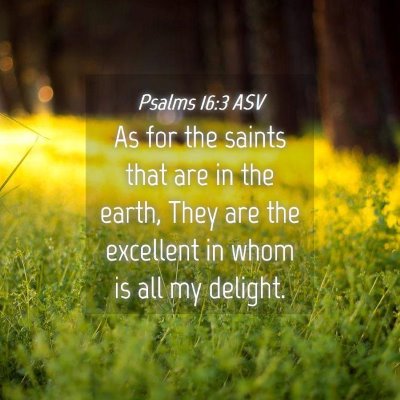 Picture 04 - Psalms 16:3 ASV - As for the saints that are in the earth, They are - Bible Verse Picture